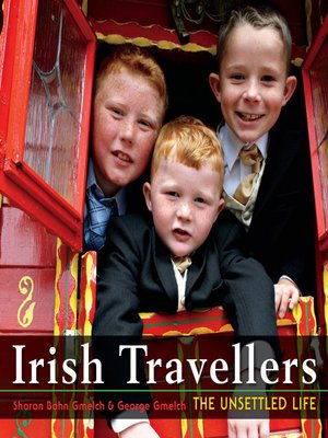 cover image of Irish Travellers